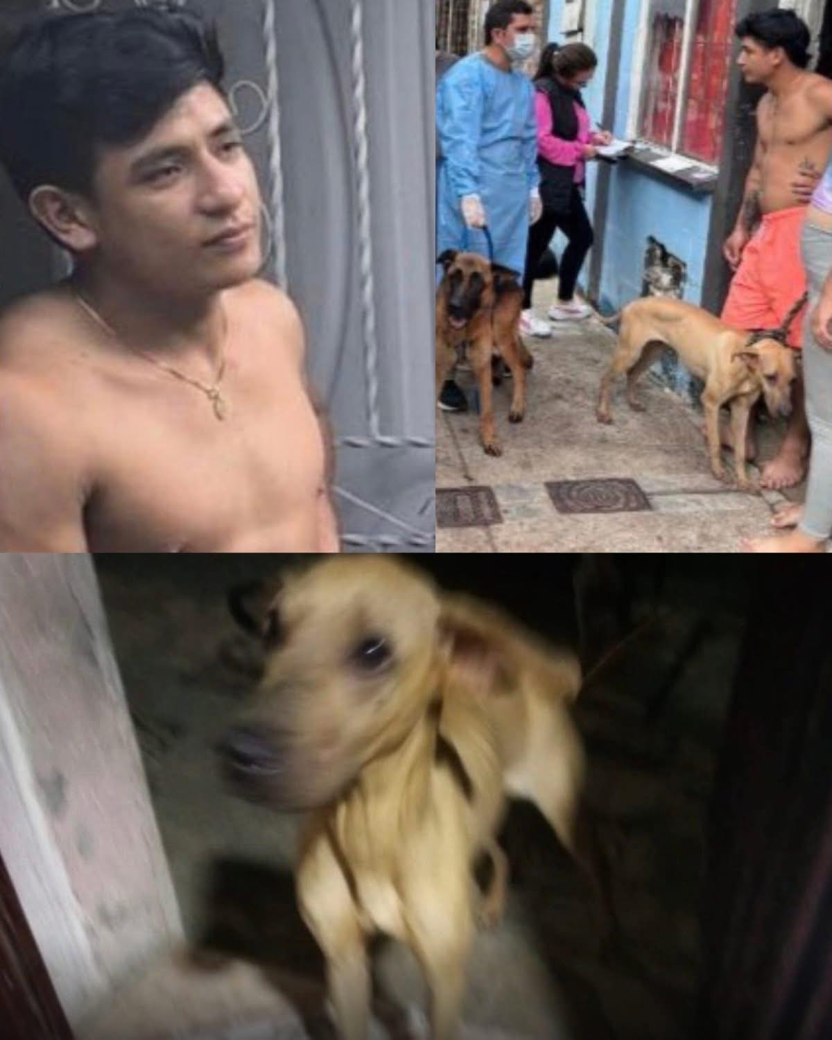 🚨 ACTUALIZACIÓN 🚨
El hombre que maltrató y asesinó a Kira ya fue capturado.
La...